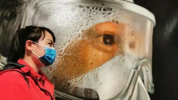 2020抗疫感动瞬间摄影作品投票