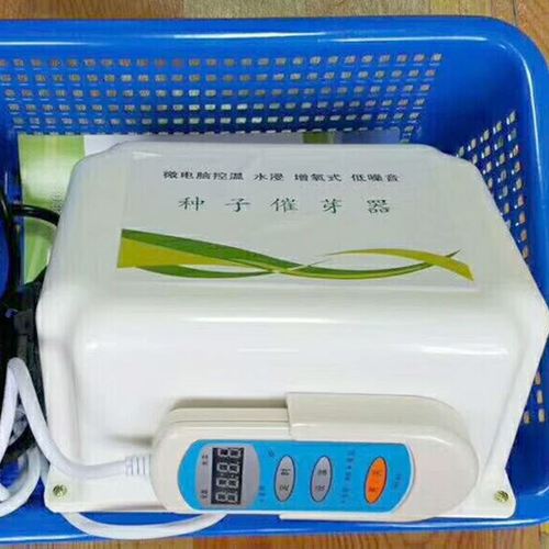 芽苗菜恒温恒湿催芽器现货 常青农用种子发芽器 智能增氧性催芽机