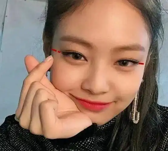 和倪妮,舒淇,林允很像,jennie也被称为鲶鱼脸长相?