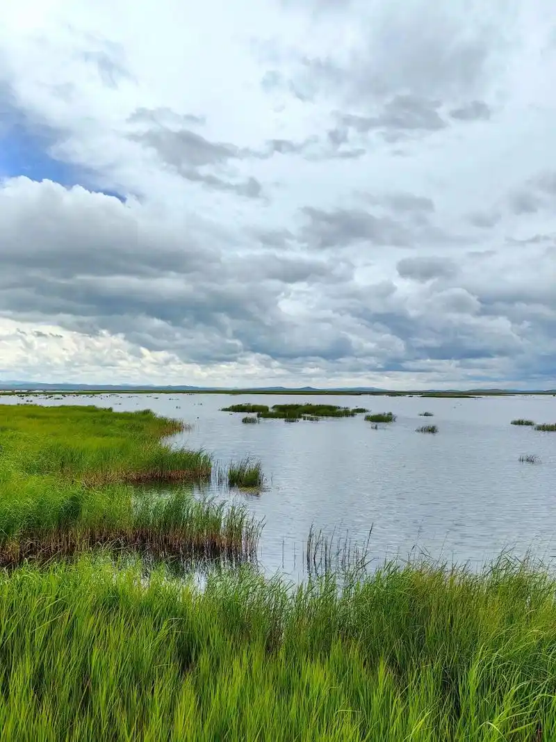 若尔盖花湖攻略9015(文末附9015) 90门票: 全票95110