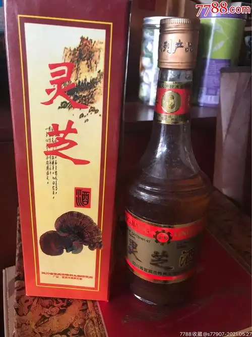 灵芝酒
