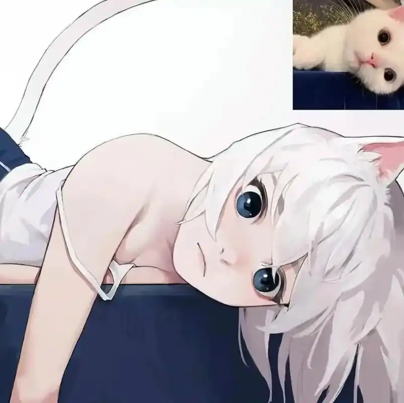 猫咪拟人.猫娘#审美提升 #图文伙伴计划 #插画 #猫咪 # - 抖音