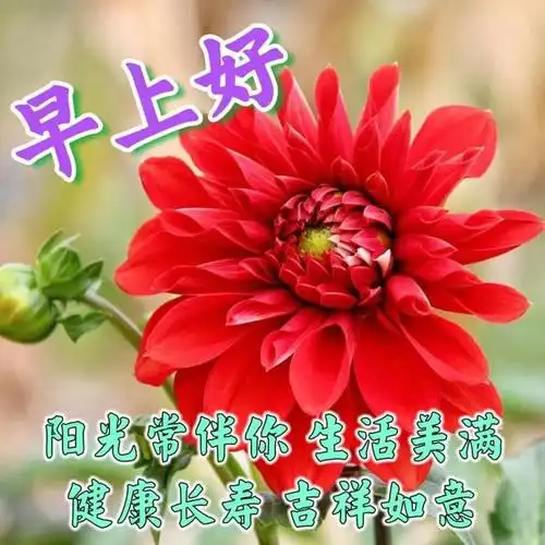 春日早安祝福图片 今天最新早安问候语图片|快乐|清晨|甜蜜|幸福|好运
