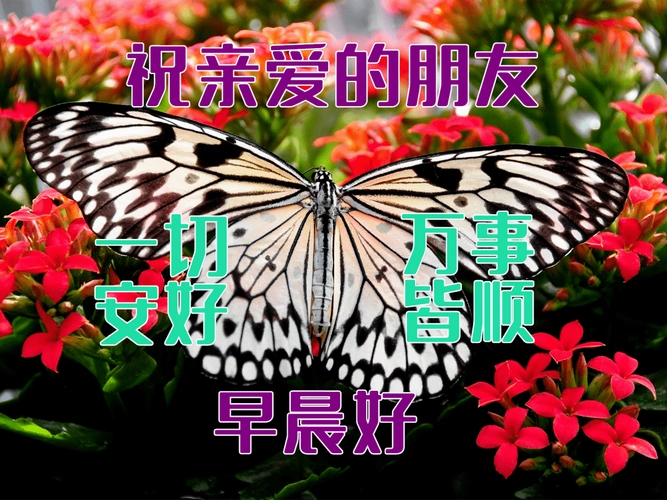 3月7日最漂亮的早上好动态表情图片大全,早上好动图美图大全!