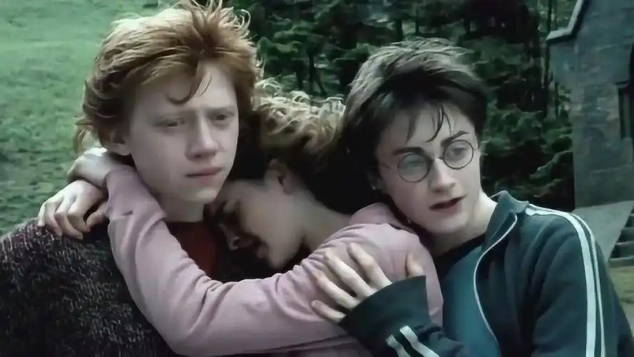 赫敏抱住了罗恩看到哈利波特的举动后不厚道的笑了
