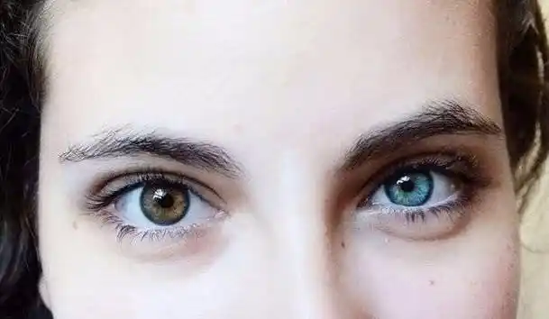 什么样的眼睛最能打动你的心?