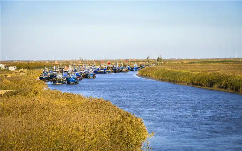 滨州美 最忆是秋天· 沾化