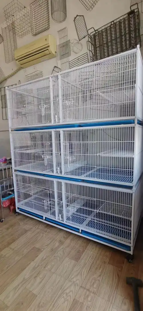 鸽笼 幼鸽笼  种鸽配对笼