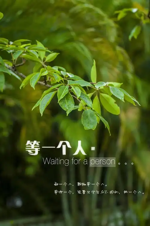 荔枝有茅十八,幺鸡有陈末,而我一直在等你,等那个能陪我很久很久的人