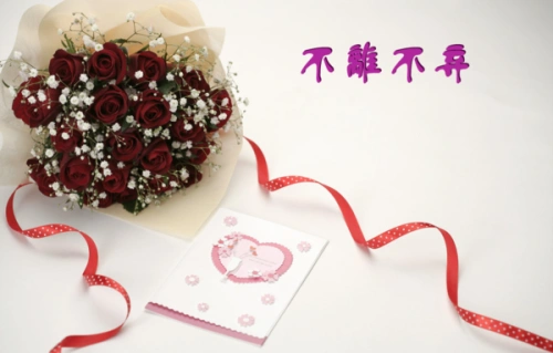 求带有"不离不弃"字样的背景 背景不要红色 字体要繁体 位置 随便