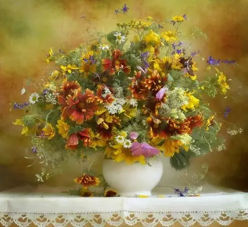 nikonchul 花卉静物摄影_唯美图吧_百度贴吧