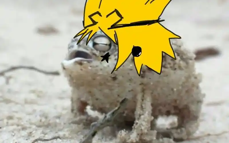 【凹凸世界鬼畜[?】这不是沙漠雨蛙而是嘉德罗斯【.】