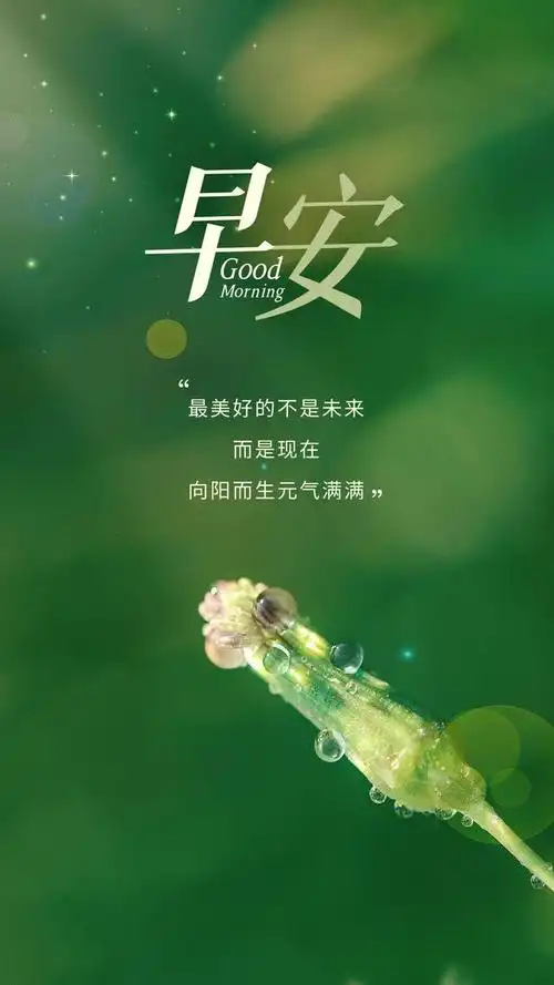 早安心语正能量语录图片带字,早安阳光说说,展翅翱翔