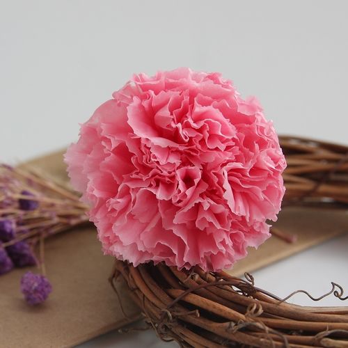 出口精品45cm花生康乃馨永生花礼盒制作花材母亲节永生花