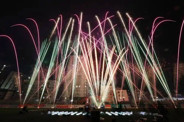 迤逦多姿形式各异的烟花组合,动态的立体画展现一幅欢乐祥和普天同庆
