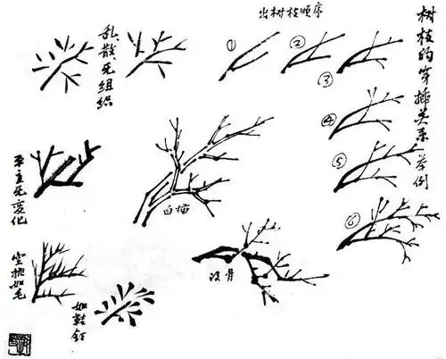 怎么正确地画树枝?图解示范教你画,初学者收藏起来学习
