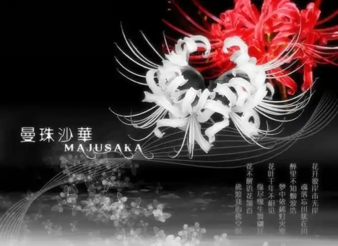 谁是谁的曼珠沙华优美语句安谧的心