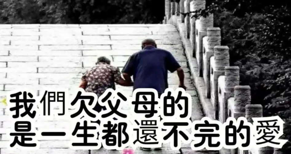 当年迈的父母开始害怕孩子不全是传承