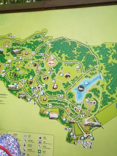 熊猫基地示意图