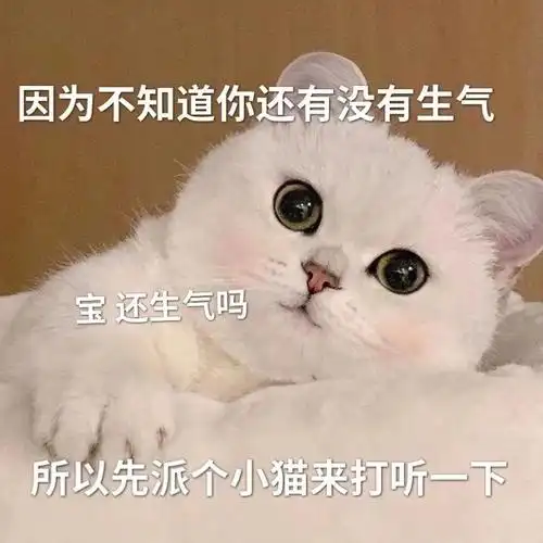 可爱猫咪  ##猫咪表情包  #猫咪  #可爱表情包