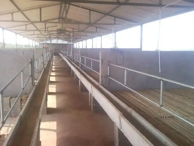 羊舍建造的基本要求