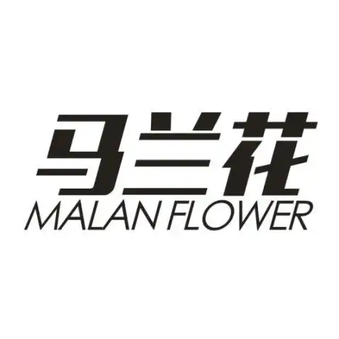 马兰花 malanflower