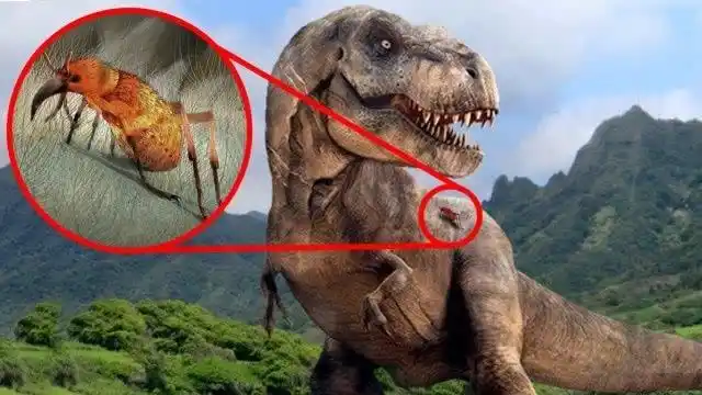 为什么dna技术不能使恐龙复活?网友不相信,科学家说出了实情!