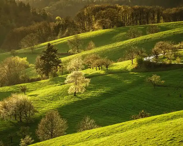德国,自然风光,草,树,丘陵,春天 iphone 壁纸