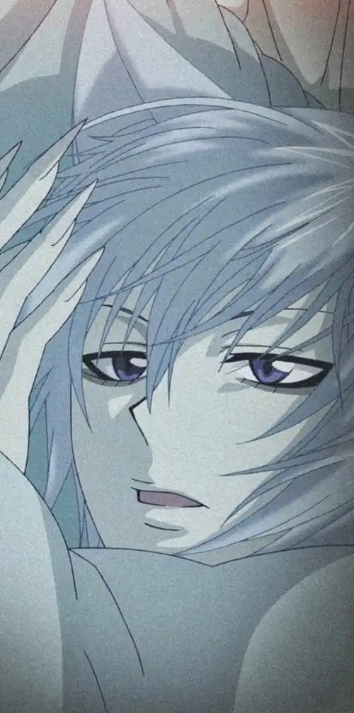 巴卫- 堆糖,美图壁纸兴趣社区