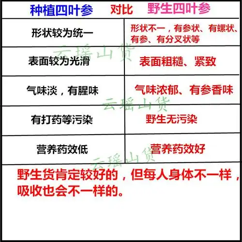 羊乳500克生货现卖现挖下奶奶参野生新鲜山四叶其他药食同源食品