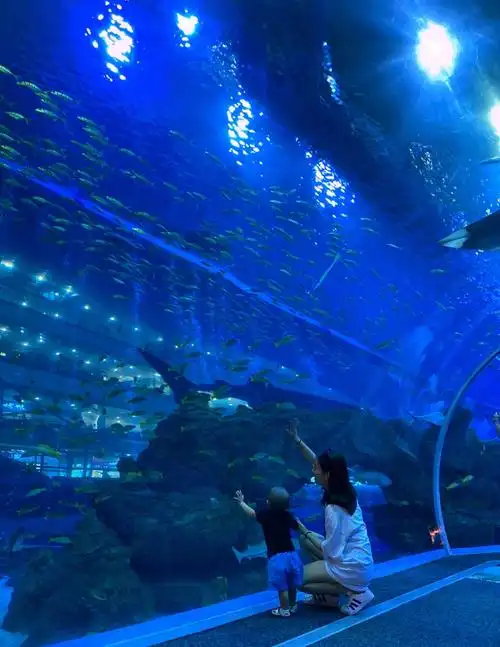 成都海洋世界和充满好奇的你