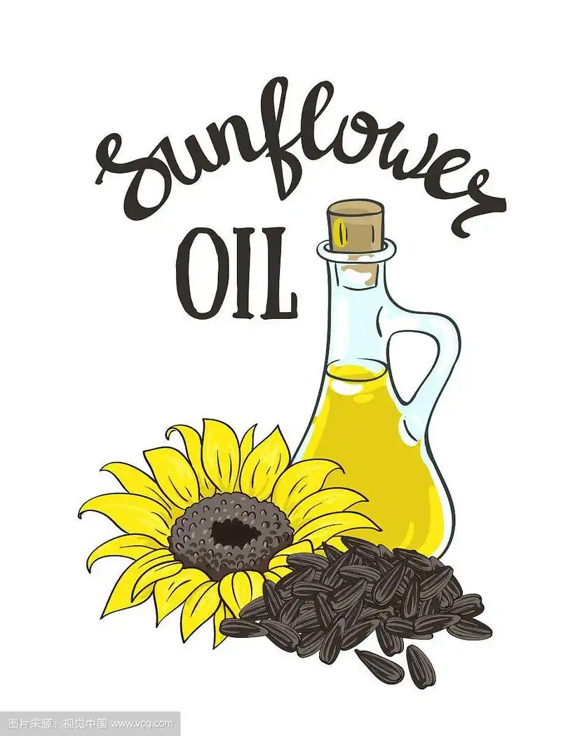 手绘黄色向日葵和葵花籽