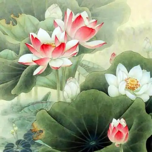 佛系图片头像禅意荷花