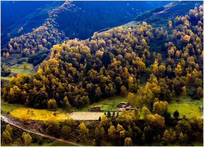 甘南秘境一一大峪沟