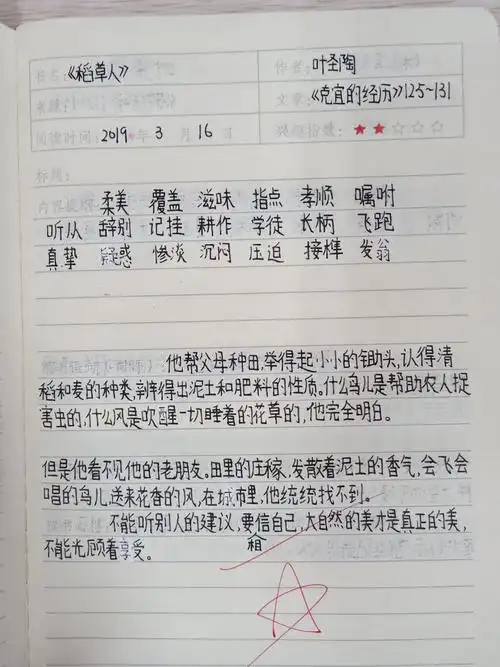 书香留痕 笔墨生香——双墩小学优秀读书笔记展示