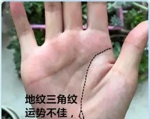 手掌此处三角纹,倒霉象征,需特别注意