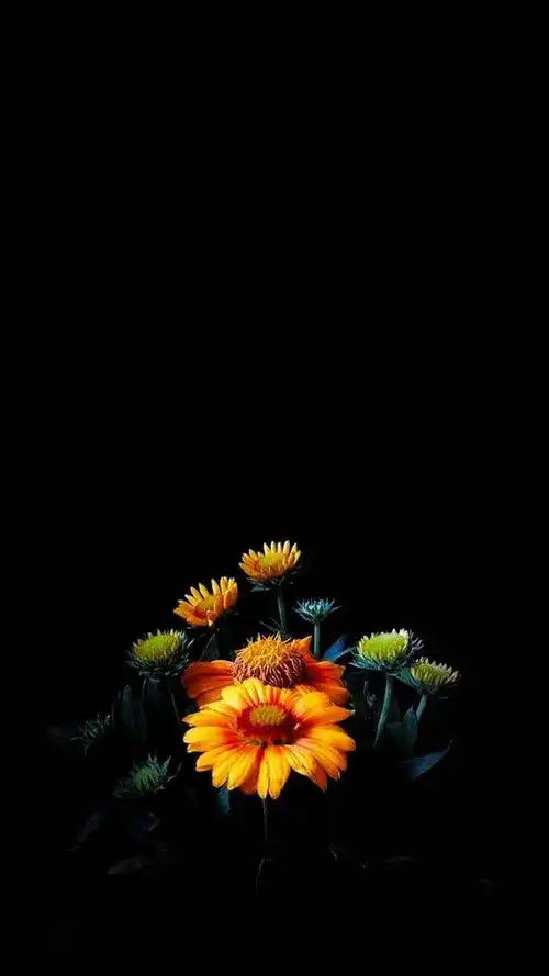 非常高冷范的壁纸,有距离感