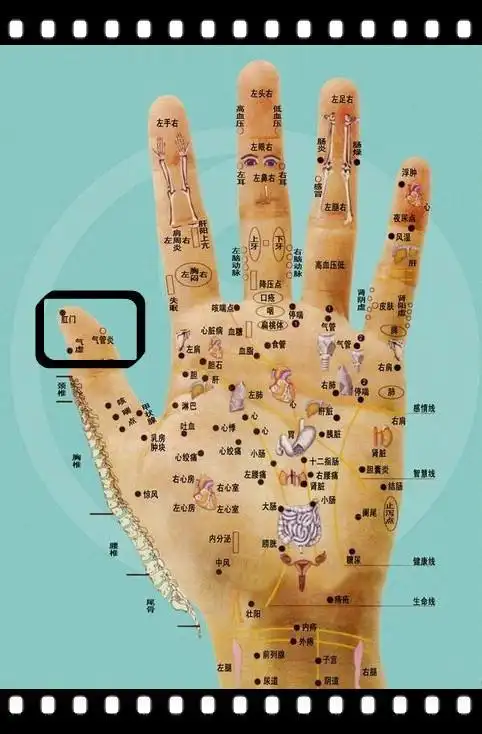 左手大姆指缺失一个指节,请问我能不能拿到b照