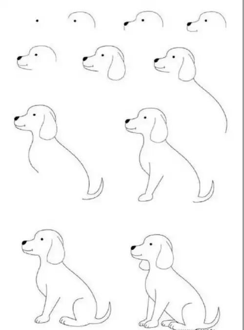 狗狗简笔画教程