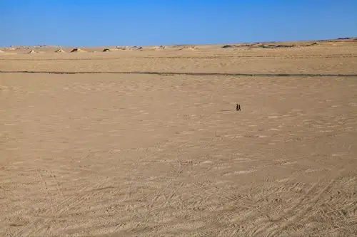 戈壁滩上,人是多么的渺小!