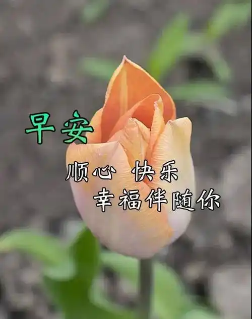 8张创意唯美朋友早上好祝福语图片大全免打字 2022春日早安问候语图片