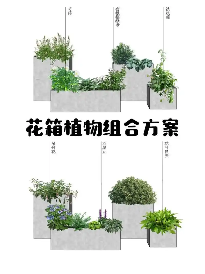 别墅庭院植物 #花境设计 #植物造景 # - 抖音