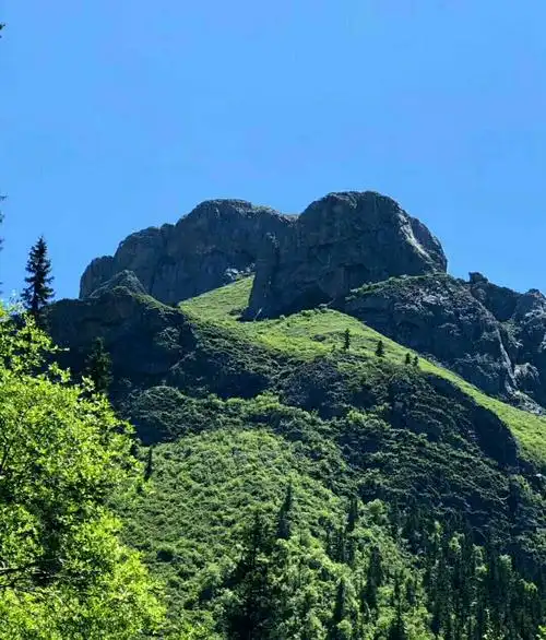 【美图】甘肃·卓尼县车巴沟迷人风光―摄影者梦中的天堂