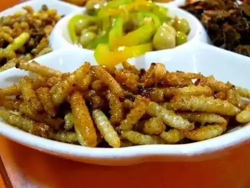 水蜈蚣蚂蚁蛋炸蝎子甲虫串串油炸虫蛹半成品▽成品▽◆◆◆◆◆英格兰