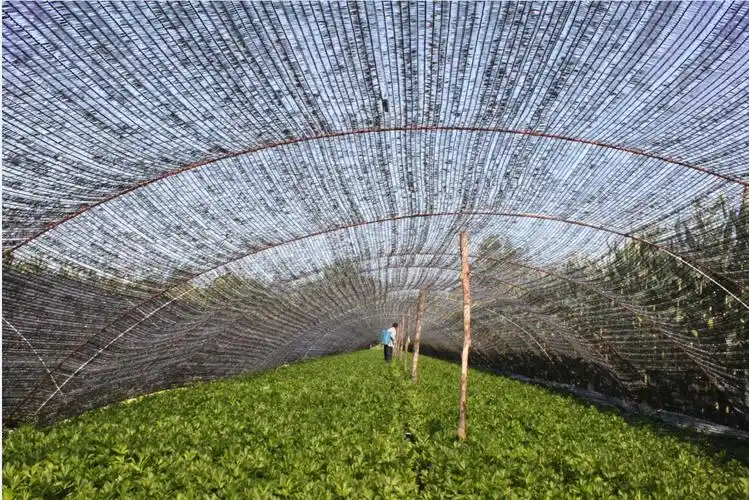 100mm农用大棚钢丝