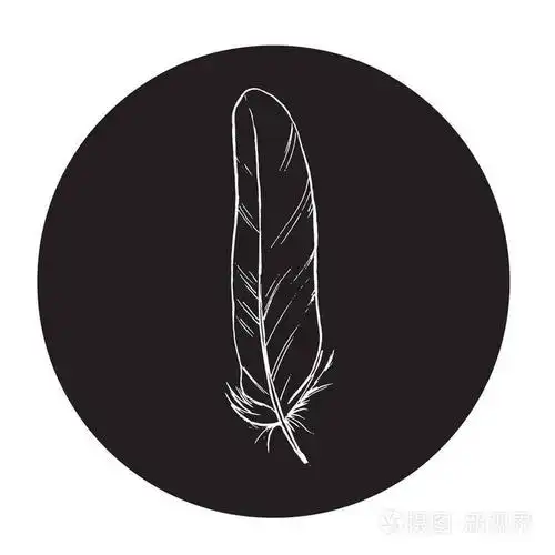 详细的矢量轮廓羽毛在一个黑色圆圈.简洁和时尚的插图.单色矢量