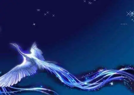 白话太古青鸾神鸟自恋到极致的单身鸟