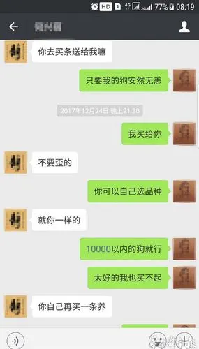狗主人和捡狗者的微信聊天记录