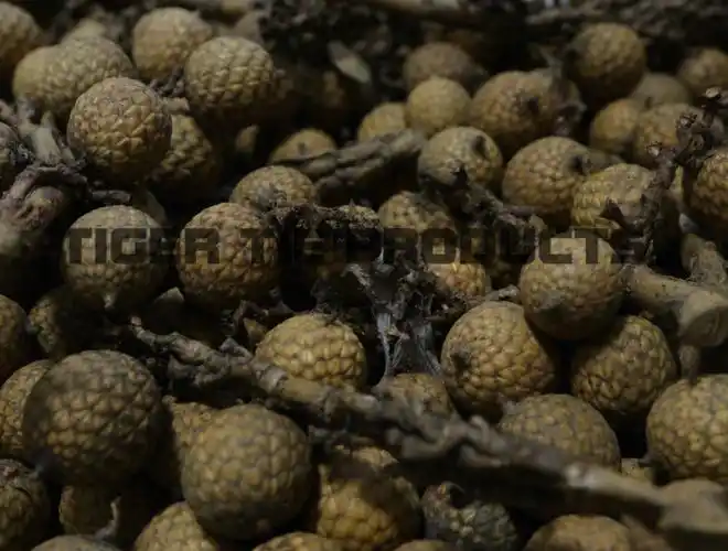 星月菩提原果晾晒过程