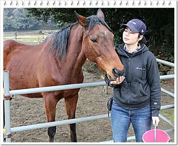 就算是如此低的托管费,乌拉拉依然没法在赛场上给她的主人带来多少